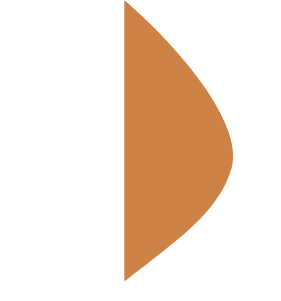 demo-attachment-113-Path-1610